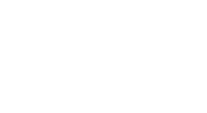 Logo de DSI Automobile Niort